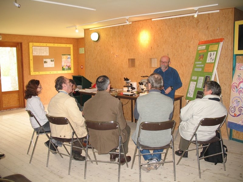 2008 03  Atelier myxomycètes 04